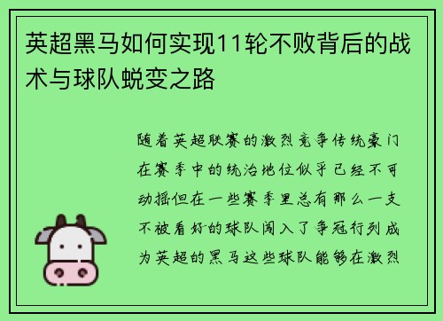 英超黑马如何实现11轮不败背后的战术与球队蜕变之路