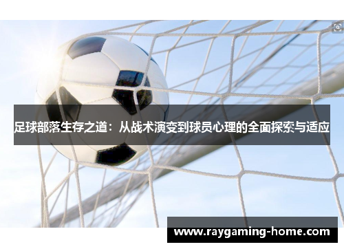 足球部落生存之道：从战术演变到球员心理的全面探索与适应